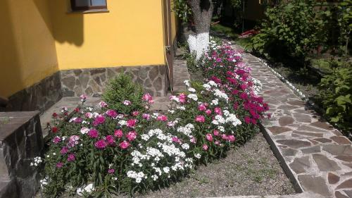 Pensiunea Elena - image 4