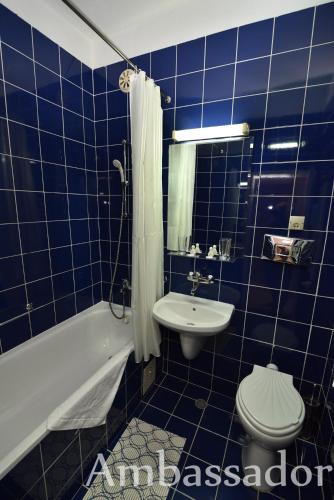 Hotel Ambassador - image 14