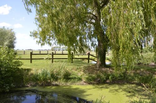 A környék, Vakantiewoning Wanderlust in Alveringem