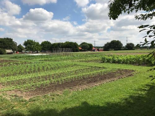 A környék, Apartotel Koln Frechen in Frechen