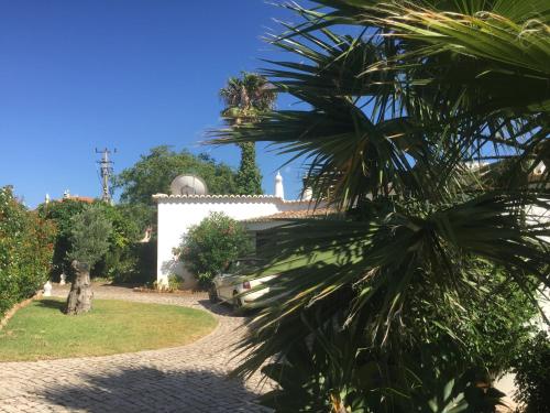 ทัศนียภาพภายนอกโรงแรม, Villa Tobias in คาวีโร