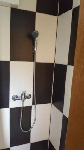  Apartments Villa Ivancica, Ferienwohnung in Seget Vranjica