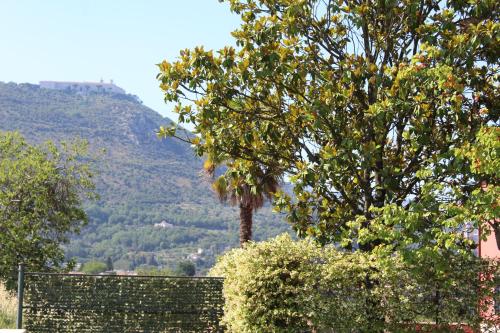 B&B Colle Cucchiara – Cassino, NH