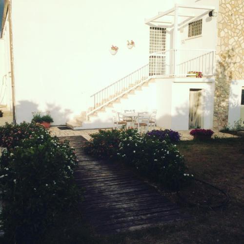 Mazzara Farm - image 6