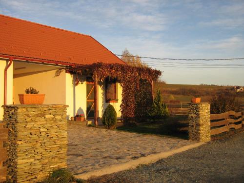 Skats, Patakparti Apartman in Bozsok