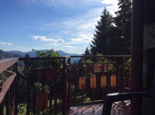 Albergo Ristorante Scanapà - image 7