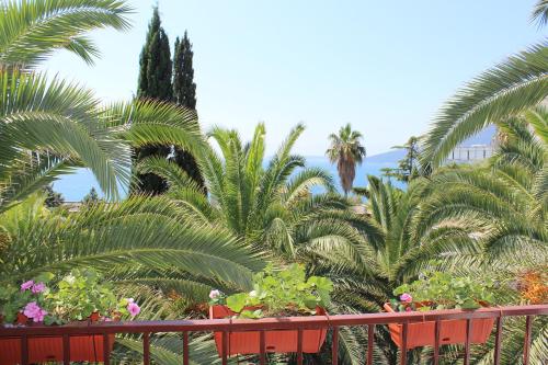 Guest House Goca - image 10