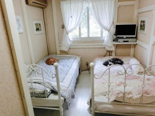 Mt Fuji Cat&Dog&Spa pension Blue Poppy