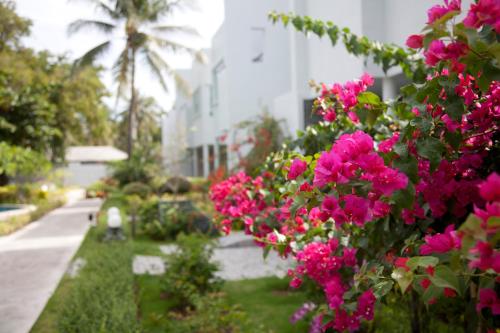 Absolute Beachfront villa