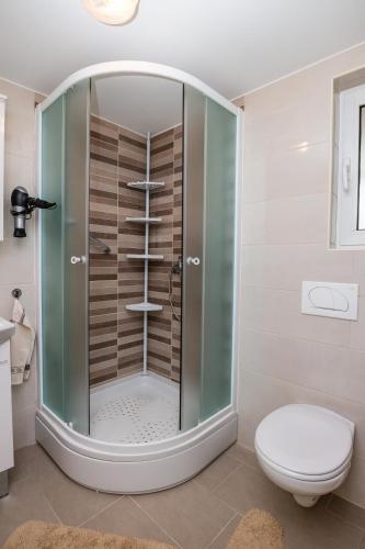 حمام, Apartment Nada Medveja in جاسيناك