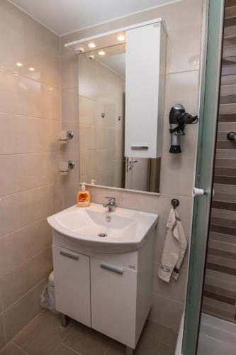 حمام, Apartment Nada Medveja in جاسيناك