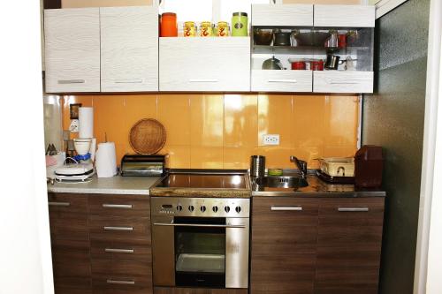 virtuve, Guesthouse Planinsko Gnezdo in Tyzha