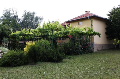 Dārzs, Guesthouse Planinsko Gnezdo in Tyzha