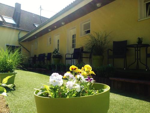 索诺霍夫酒店 索诺霍夫酒店