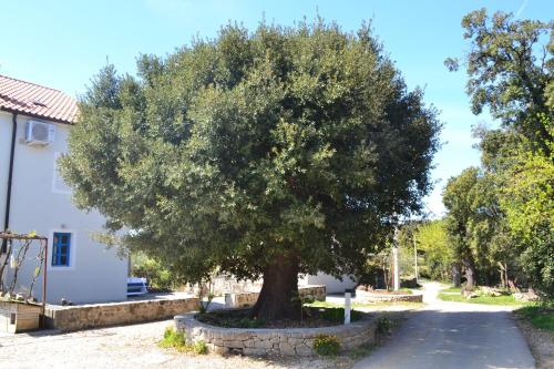  Country House Vrsani in Rab