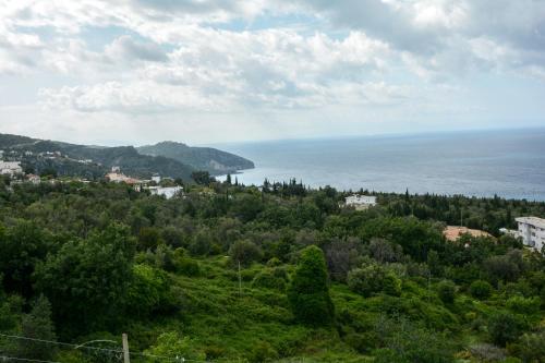 A környék, Dorvin Apartments in Palase