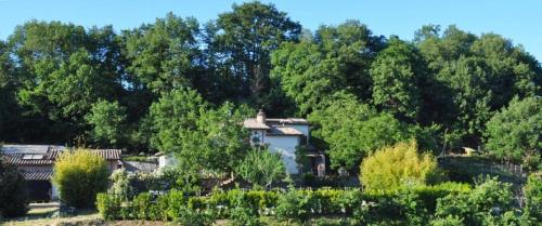 Agriturismo Il Noce - Apartment - Bagnoregio