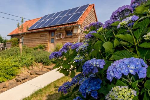  Holiday Home De Douvevallei in Westouter
