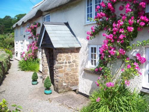 Fernside Bed and Breakfast 4