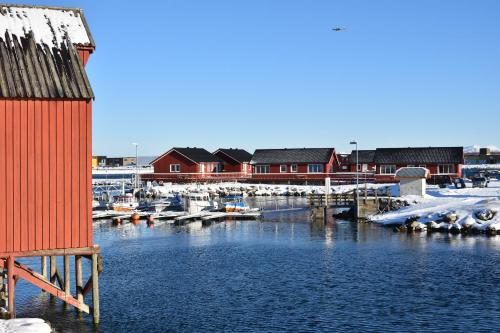 Lankanholmen - image 9
