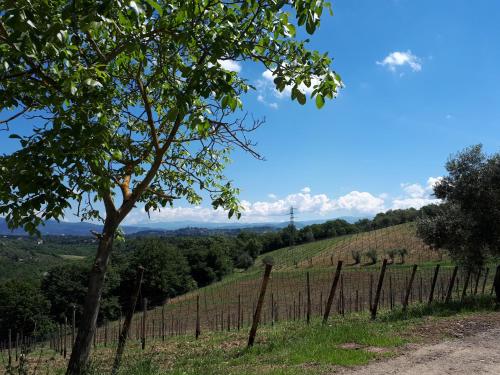 Fattoria Il Milione Agriturismo - image 10