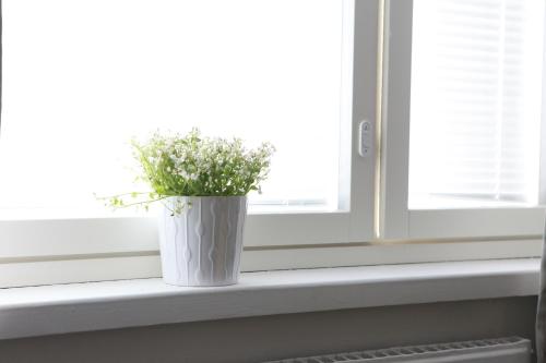 Studio Orchidea, Хельсинки (фото 10)