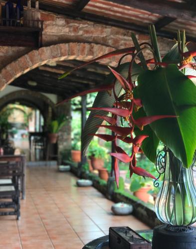 Casa Degraciela - Hotel Boutique