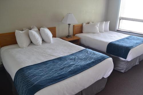 2 queen beds