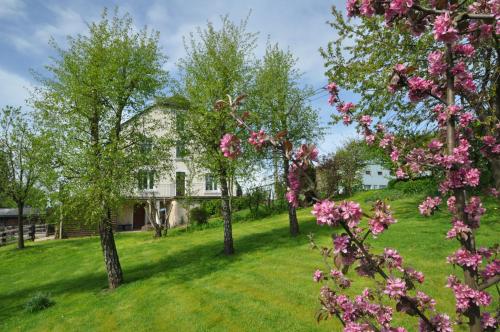 皮尔罗伊贝赫尔B&B酒店 皮尔罗伊贝赫尔B&B酒店