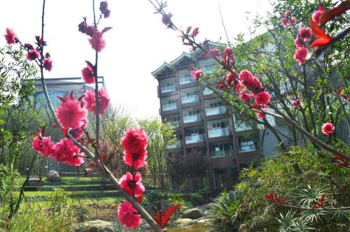 Sheenjoy Hotel Chongqing