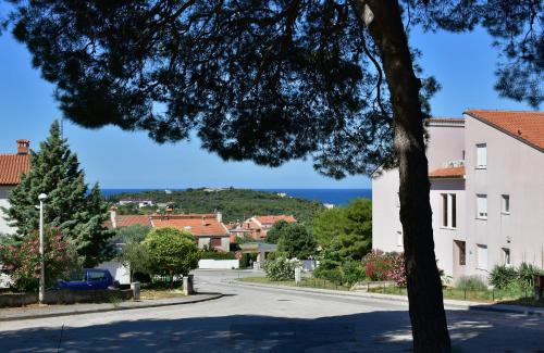 Pino, Pula (foto 8)