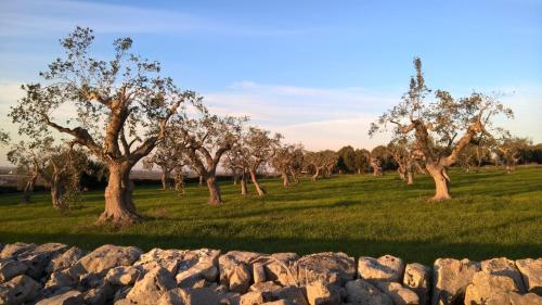 Antiche Mura Apartments "Nel Cuore della Puglia"bivani, cucina, terrazzo