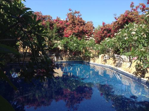 Roman Boutique Hotel - image 3