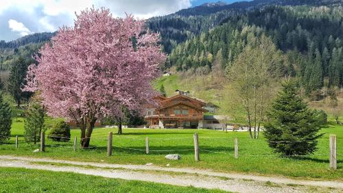 . Hotel Maso del Brenta