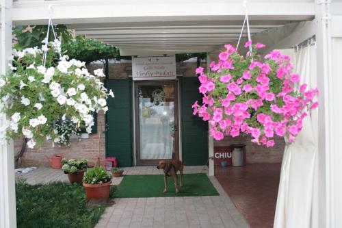 Locanda Antico Fighèr - Accommodation - Musile di Piave