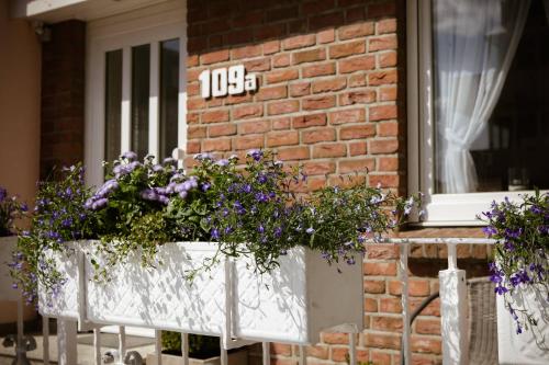 Entrance, Das Sonnenblumenhaus in Niendorf