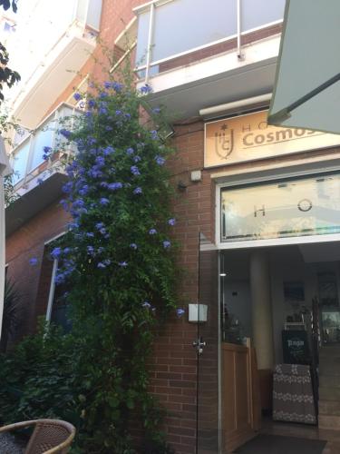 Hotel Cosmos Tarragona - image 3
