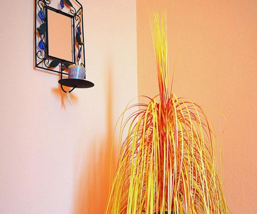 B&B TascaPachino - image 8