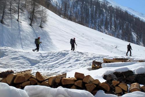 Engadin Lodge - image 9