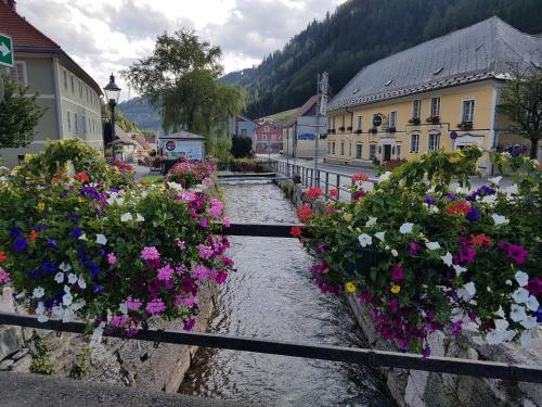 A környék, Vermietung Ronner in Vordernberg