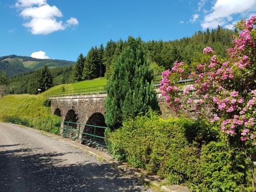 A környék, Vermietung Ronner in Vordernberg