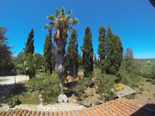 Villa La Rucchetta Alghero