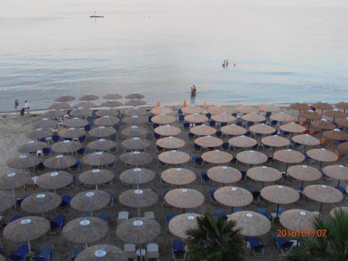 Oscar, Paralia