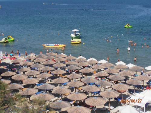 Oscar, Paralia (photo 6)