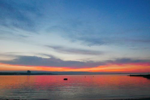 Nearby attraction, Das Sonnenblumenhaus in Niendorf