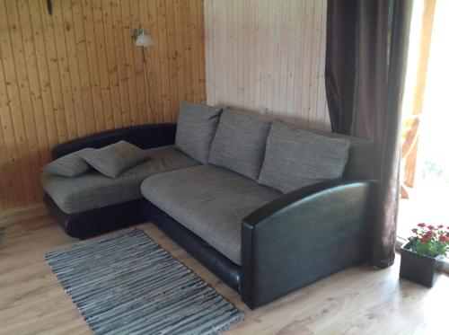 Dobilas ir jura - image 11