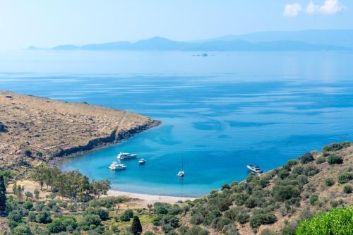  Thea Villas Aegina in Perdika