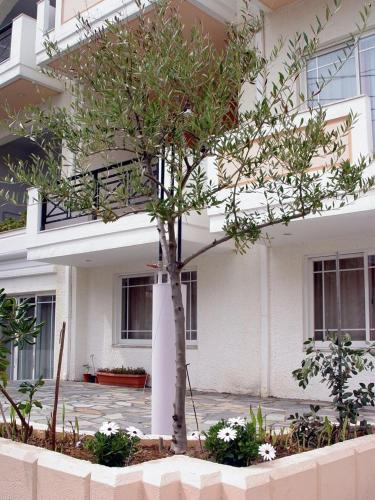 Doreen Suites, Каламаки (фото 10)