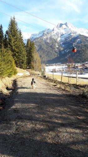Familie Seiwald