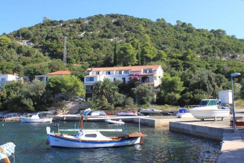 Apartments and rooms by the sea Zaklopatica Lastovo - 8339 Lastovo